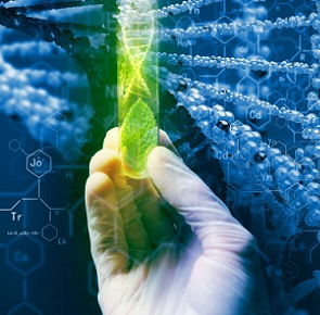 Applied Biosciences and Biotechnology 2019 – Second International School-Conference